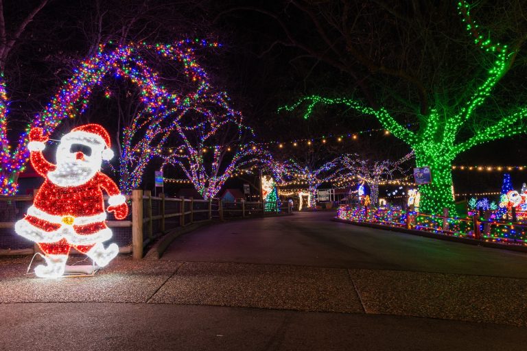 holiday lights drive through header